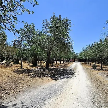 Mit Privatpool Fuer 8 Personen Ca 350 Qm In Bunyola, Mallorca Westkueste Von Mallorca Holiday home