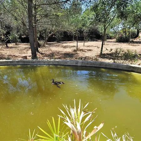 Holiday home Mit Privatpool Fuer 8 Personen Ca 350 Qm In Bunyola, Mallorca Westkueste Von Mallorca *