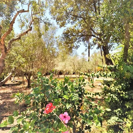Mit Privatpool Fuer 8 Personen Ca 350 Qm In Bunyola, Mallorca Westkueste Von Mallorca Holiday home